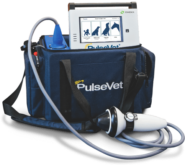pulsevet-parentspage.png pulsevet-parentspage.png