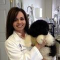 Laura Surovi DVM, CVA, CCRT, CVSMT, CVCH photo