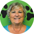 Donna France – Practice Manager photo