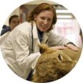Jennell Appel, DVM, CCRT photo